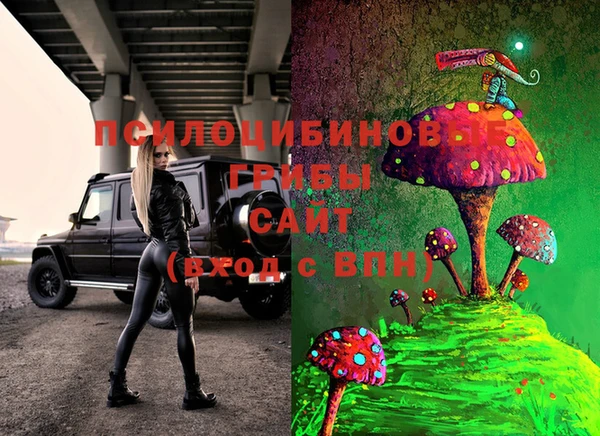 молекула духа Алексеевка