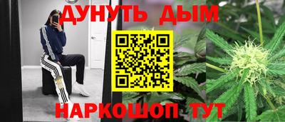 гидра Аша
