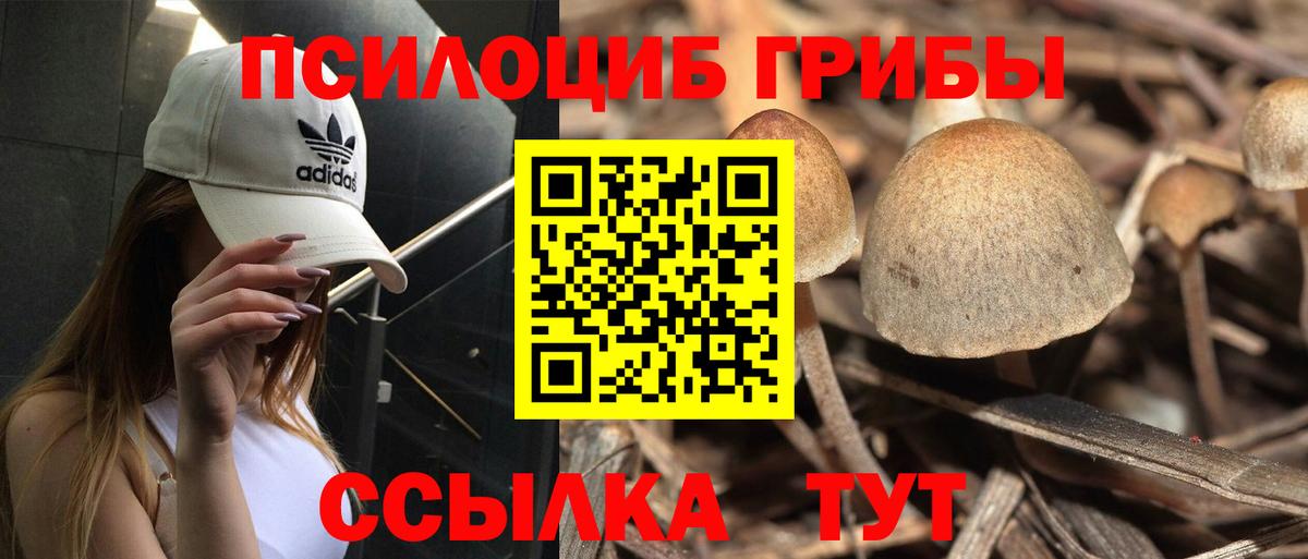 Салават  Галлюциногенные грибы GOLDEN TEACHER  Вход с VPN 